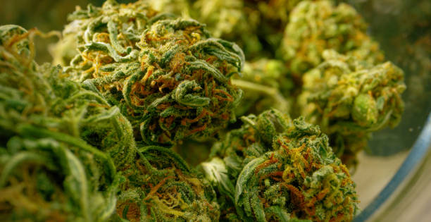 How to Refer to Menu Items With No Weed in It at a Denver Recreational Dispensary?